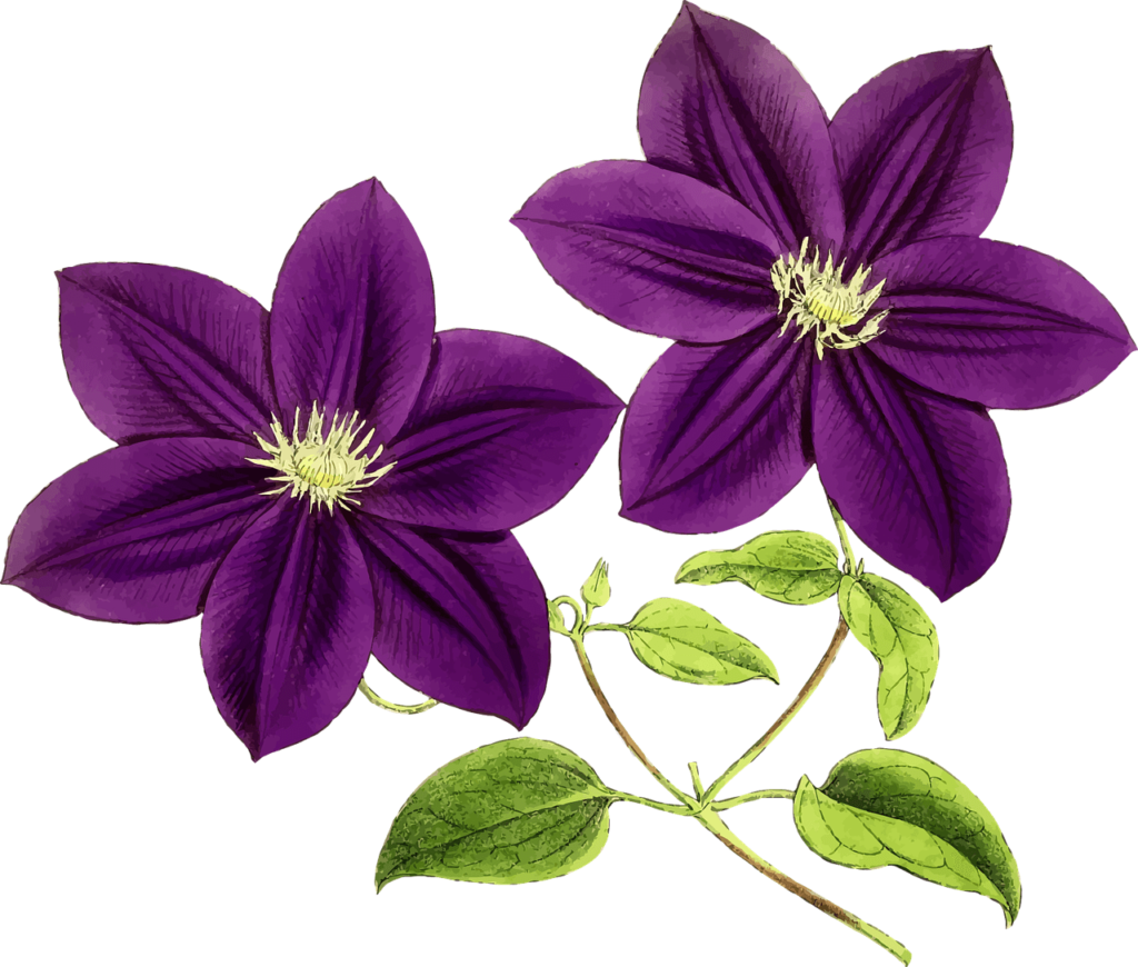 flower decorators image